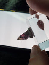 Charger l'image dans la galerie, Tanzanite naturelle pierre de collection
