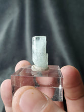 Charger l'image dans la galerie, Aigue Marine (inclusions de Tourmaline noire) Pakistan pierre de collection
