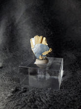 Charger l'image dans la galerie, Rutile sur Hématite du Brésil pierre de collection
