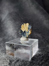 Charger l'image dans la galerie, Rutile sur Hématite du Brésil pierre de collection
