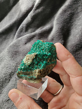 Charger l'image dans la galerie, Dioptase du Congo pierre de collection
