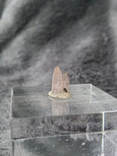 Charger l'image dans la galerie, Tanzanite naturelle pierre de collection
