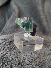 Charger l'image dans la galerie, Fluorite verte - violette de Namibie pierre de collection

