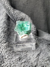 Charger l'image dans la galerie, Fluorite verte - bleue de Namibie pierre de collection
