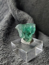 Charger l'image dans la galerie, Fluorite verte - bleue de Namibie pierre de collection
