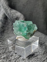 Charger l'image dans la galerie, Fluorite verte - bleue de Namibie pierre de collection
