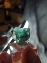 Charger l'image dans la galerie, Fluorite verte - bleue de Namibie pierre de collection
