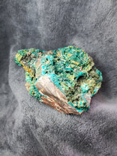 Charger l'image dans la galerie, Dioptase, Mimétite, Wulfénite et Duftite du Congo pierre de collection
