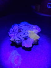 Charger l'image dans la galerie, Baryte, Wulfénite et Cérusite du Maroc pierre de collection
