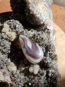 Cabochon Agate du Botswana