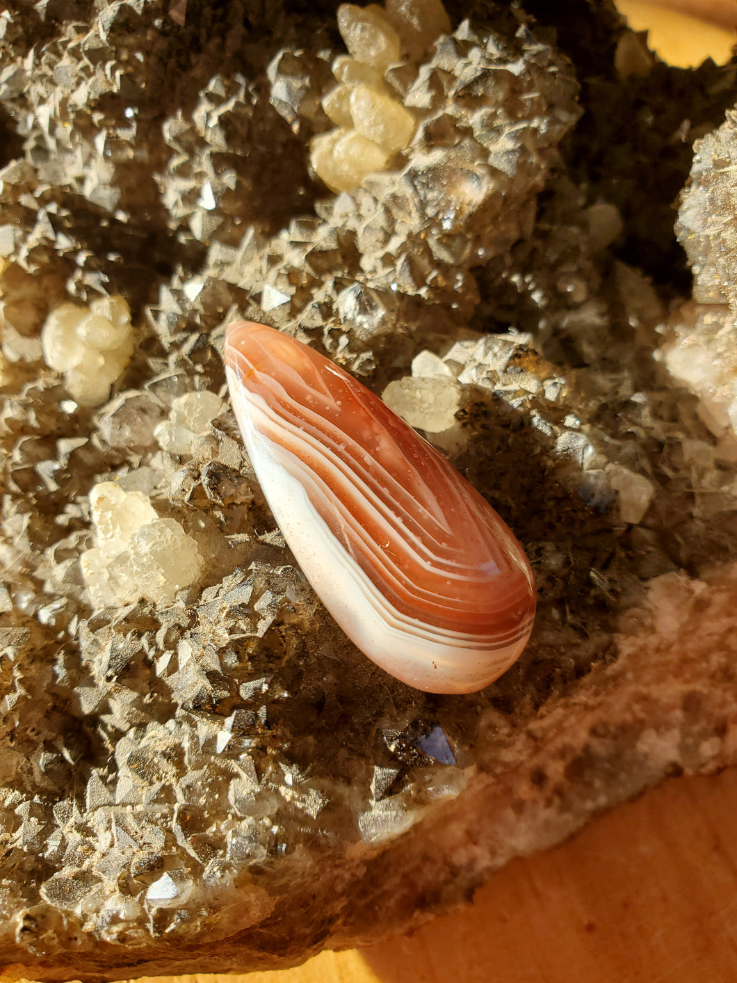 Cabochon Agate du Botswana