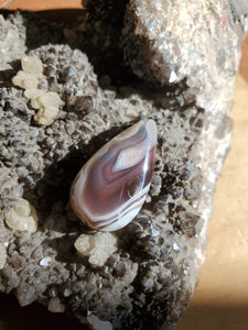 Cabochon Agate du Botswana