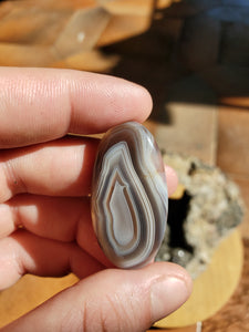 Cabochon Agate du Botswana