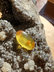 Cabochon Ambre