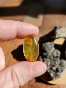 Cabochon Ambre