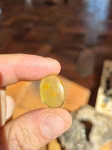 Cabochon Ambre