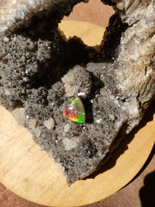 Cabochon Ammolite