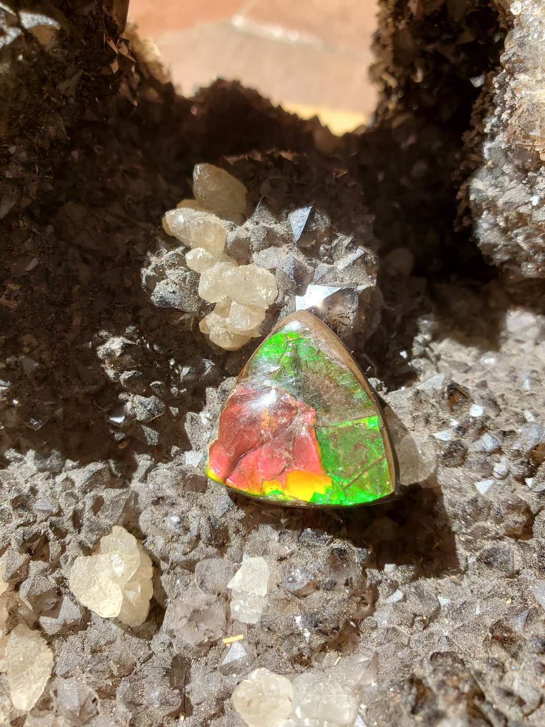 Cabochon Ammolite