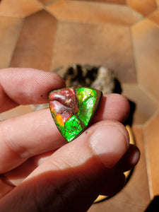 Cabochon Ammolite