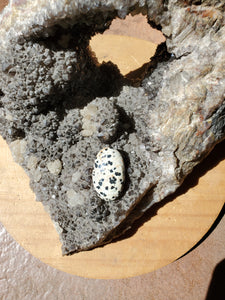 Cabochon Jaspe Dalmatien