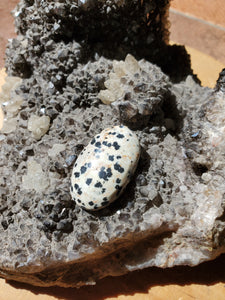 Cabochon Jaspe Dalmatien