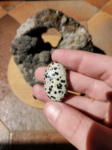 Cabochon Jaspe Dalmatien