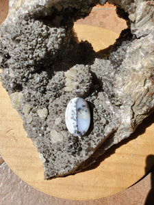 Cabochon Merlinite