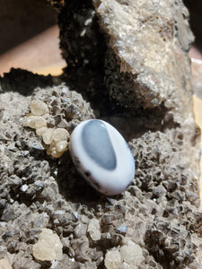 Cabochon Merlinite