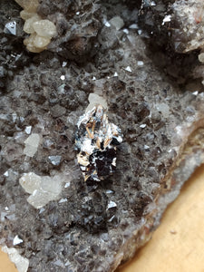 Rutile sur Hématite (Brésil) pierre de collection