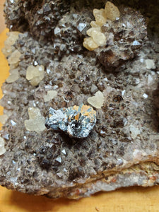 Rutile sur Hématite (Brésil) pierre de collection