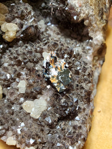 Rutile sur Hématite (Brésil) pierre de collection