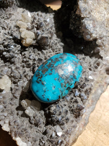 Cabochon Turquoise et Pyrite stabilisé