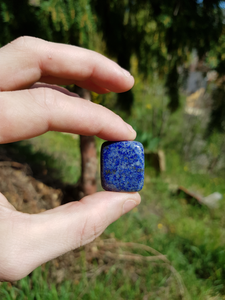 Lapis Lazuli pierres roulées