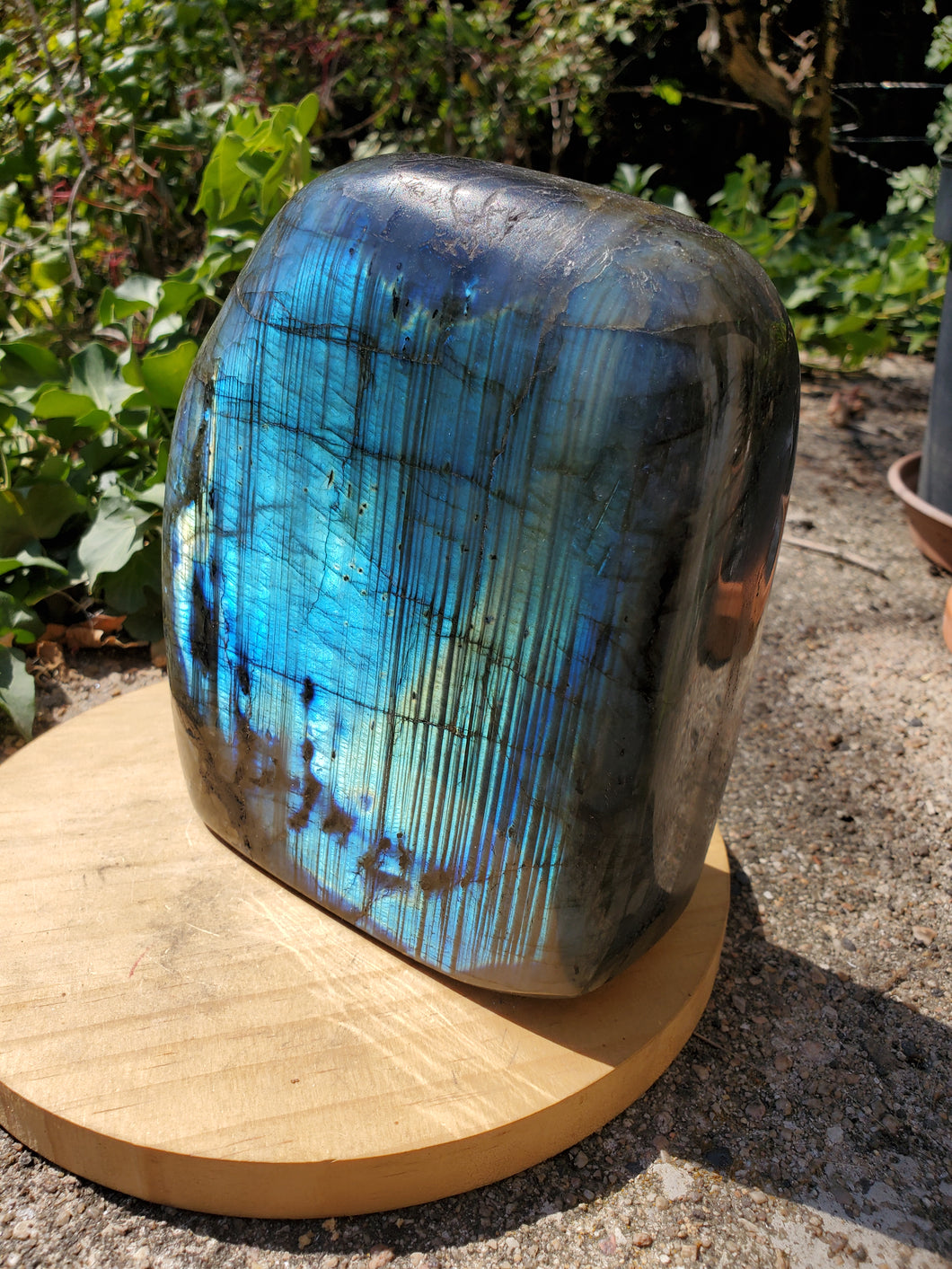 Labradorite freeform pierre de collection ( 3 KG)