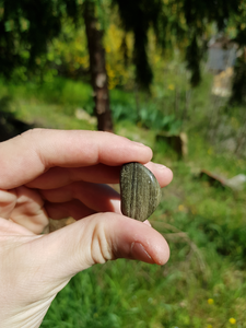 Obsidienne dorée pierres roulées