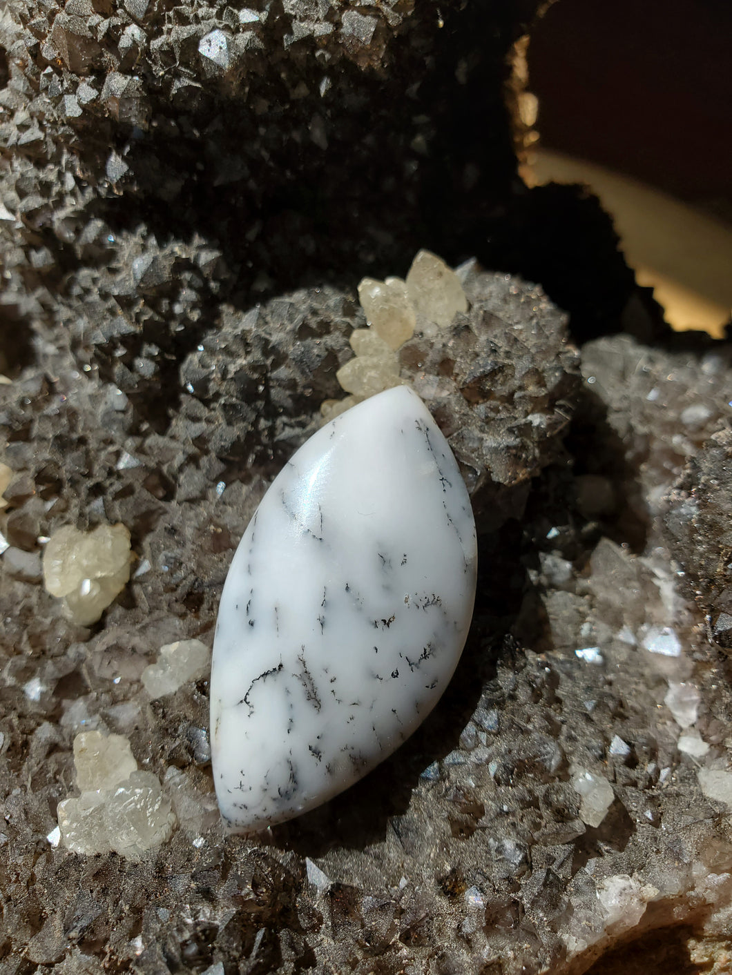 Cabochon Agate dendritique