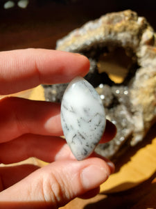 Cabochon Agate dendritique