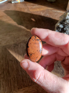 cabochon Obsidienne acajou